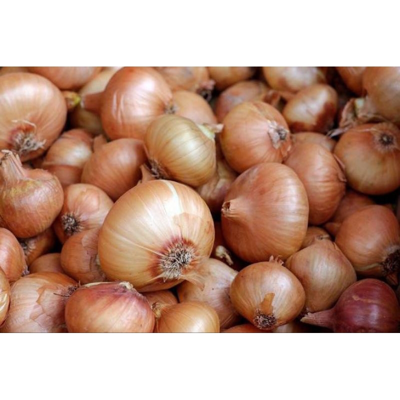 

BAWANG BOMBAY UKURAN SEDANG 500GR