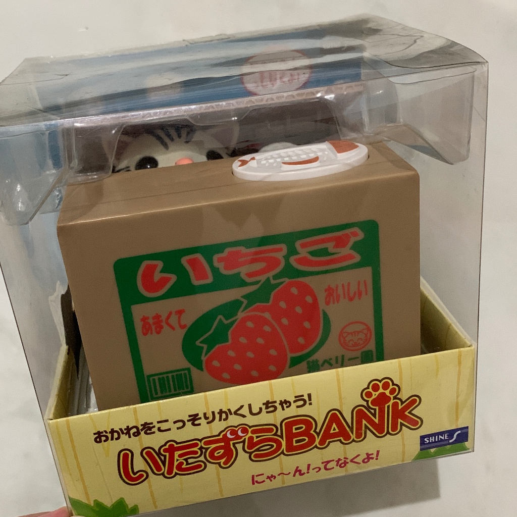 Naughty American Shorthair Amesho Cat Stealing Coin Celengan Jepang