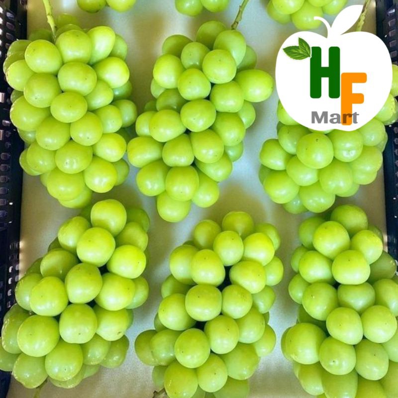 Anggur hijau Shine Muskat 1keranjang 5kg