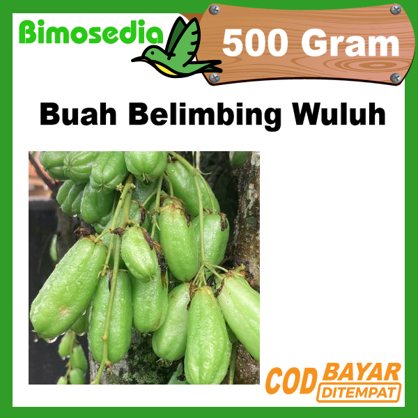 

Buah belimbing wuluh segar 500 gram