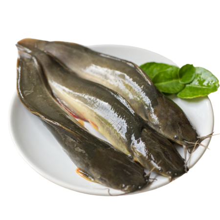 

Ikan Lele Fresh 500gr