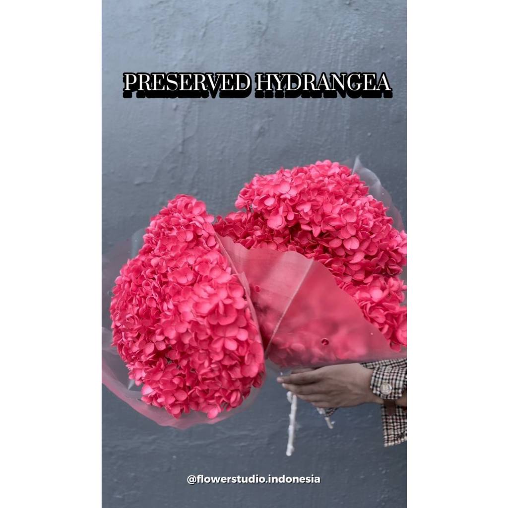 Preserved Hydrangea/ Bunga Hydrangea/ Bunga Hortensia/ Bunga Kering