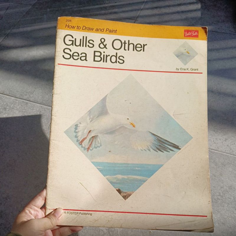 

buku gulls and other sea Birds how to draw and paint
