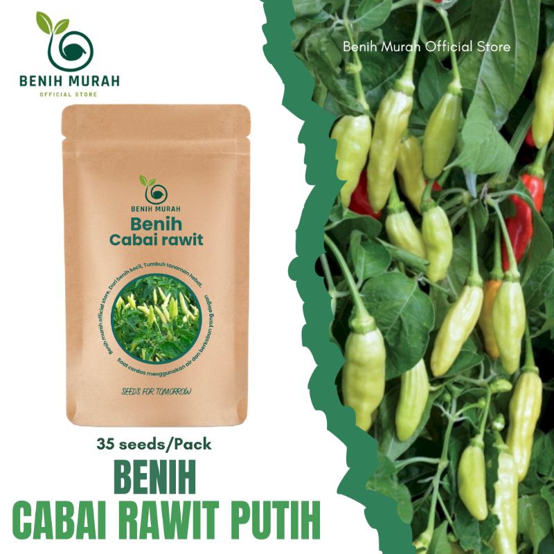 

Benih Cabai Rawit Putih / Bibit Cabai Putih / Benih Cabe Putih Unggul/ Biji Cabai Ayam