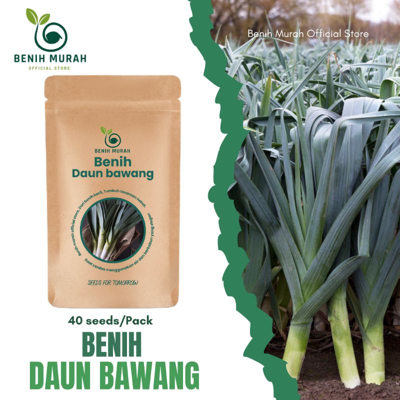 

Benih Daun Bawang Bibit Daun Bawang Unggul