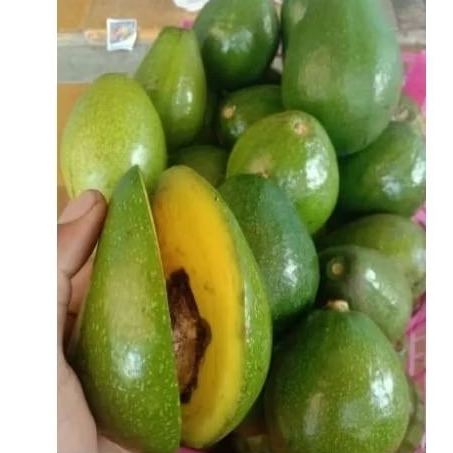 

Alpukat fresh murah 1kg isi 4-5