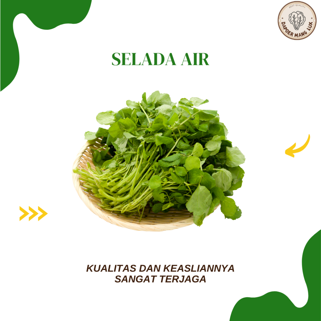 

EKSTRAK SELADA AIR BEST SELLER