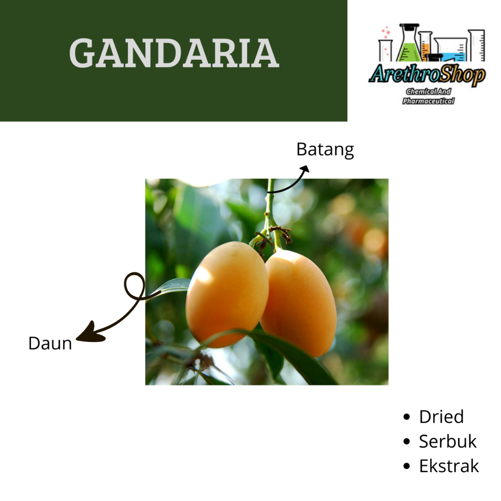 

SERBUK DAN DRIED GANDARIA BEST PRODUCT