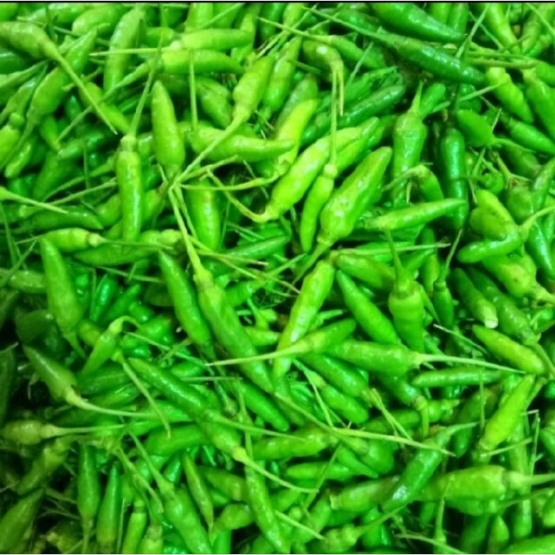 

Cabai Cabe Rawit Hijau 500gr