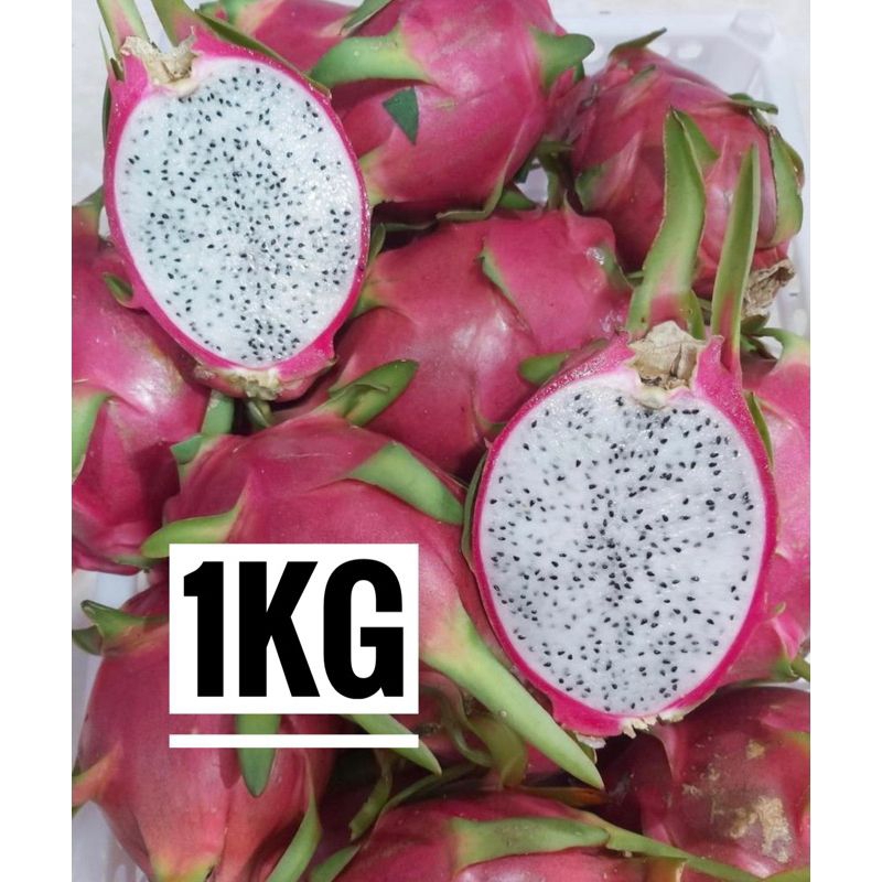 

Buah Naga Putih exotic