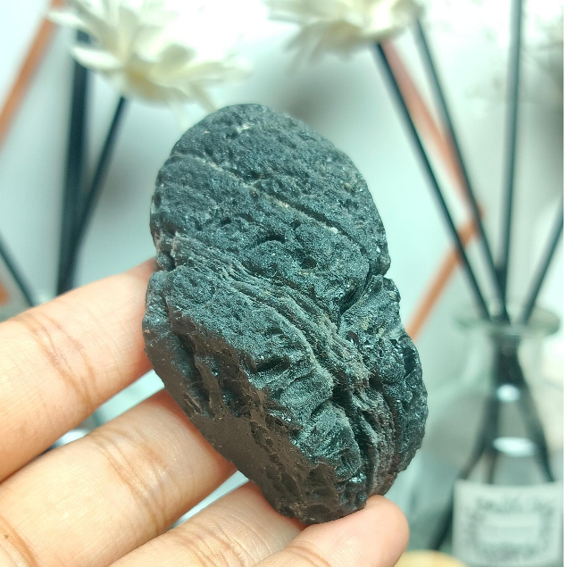 Tektite Tibet Rough / Raw (4)