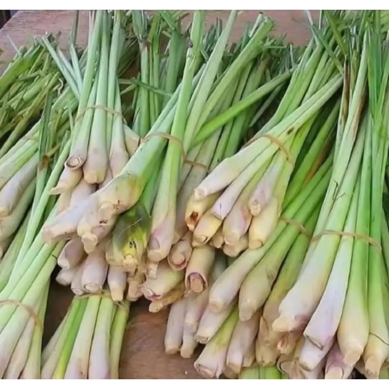 

Sereh, bumbu masak, wangi, organik