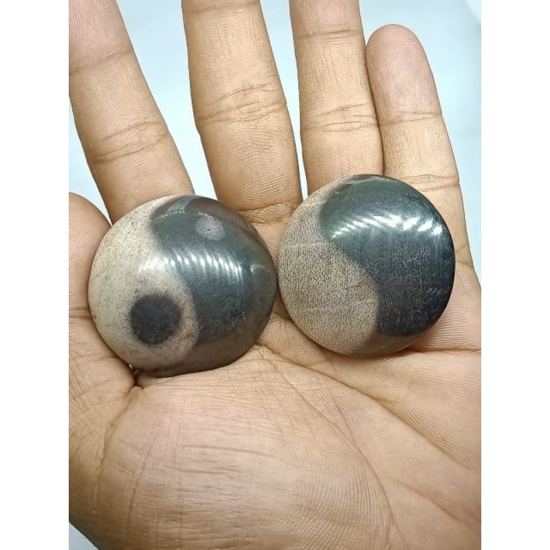 Batu Posil Kelor Yin Yang , Jumbo