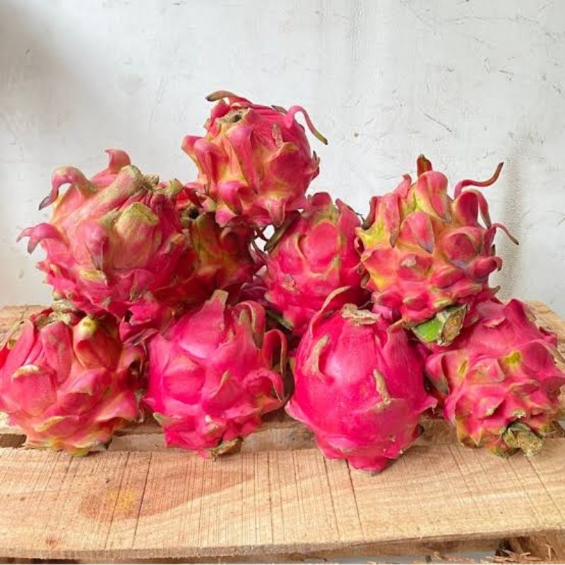 

Buah Naga Fresh/Buah Segar