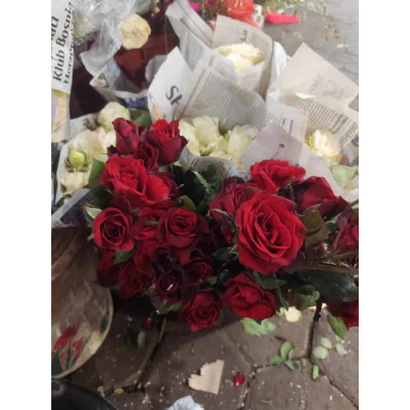 MAWAR POTONG/MAWAR ASLI/BUNGA POTONG/MAWAR BIJIAN