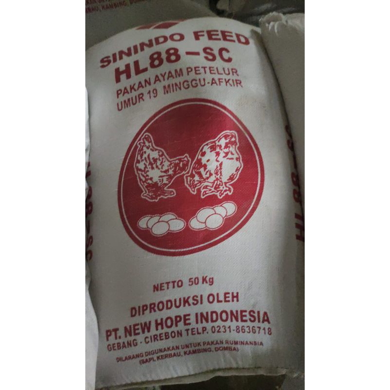 pakan ayam petelur