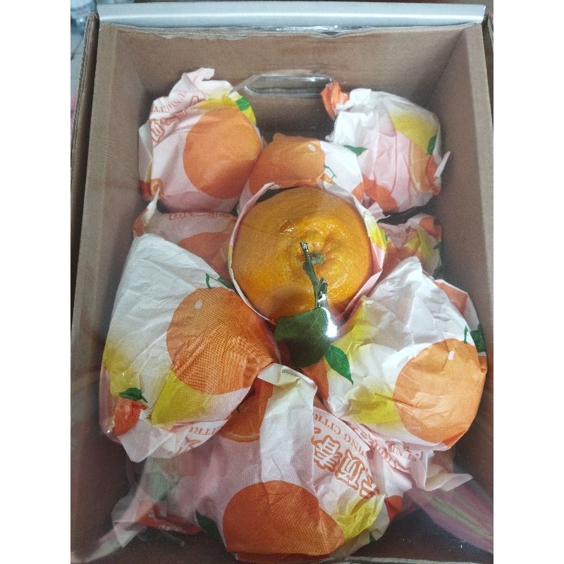 

JERUK PAPAGAN DEKOPON CHUNIIAN SUPER JUMBO XXXL/box