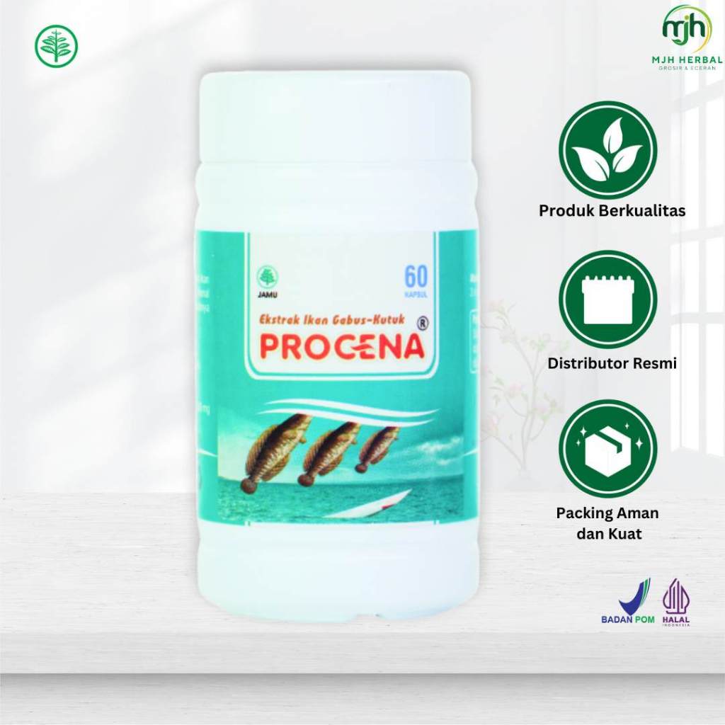 Procena Ekstrak Ikan Gabus | Ekstrak Ikan Kutuk Procena 60 Kapsul