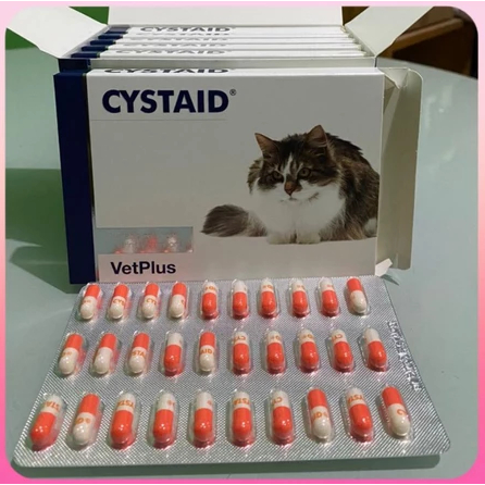 [TERMURAH] Obat Pelancar Pipis Kucing Ampuh CYSTAID