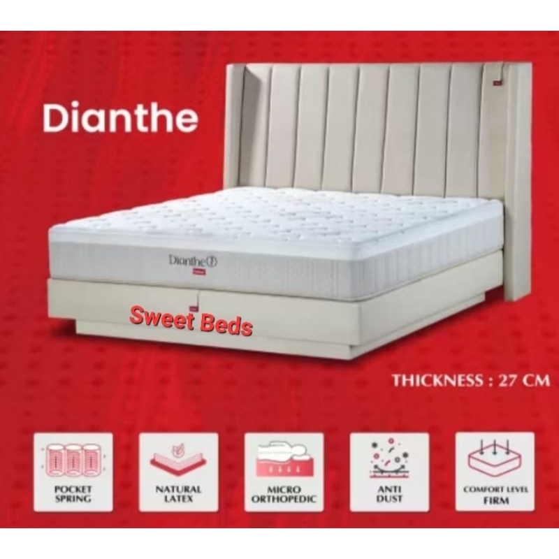 springbed latex helux dianthe orthopedic firm keras