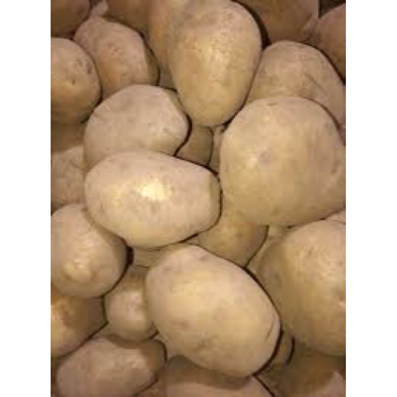 

kentang dieng 500gr