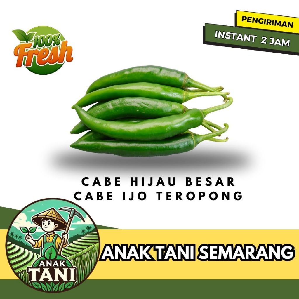 

[ANAK TANI] CABE HIJAU BESAR / CABE TEROPONG HIJAU / CABE JAWA IJO SEGAR PER 100GR SIAP KIRIM INSTANT AREA SEMARANG