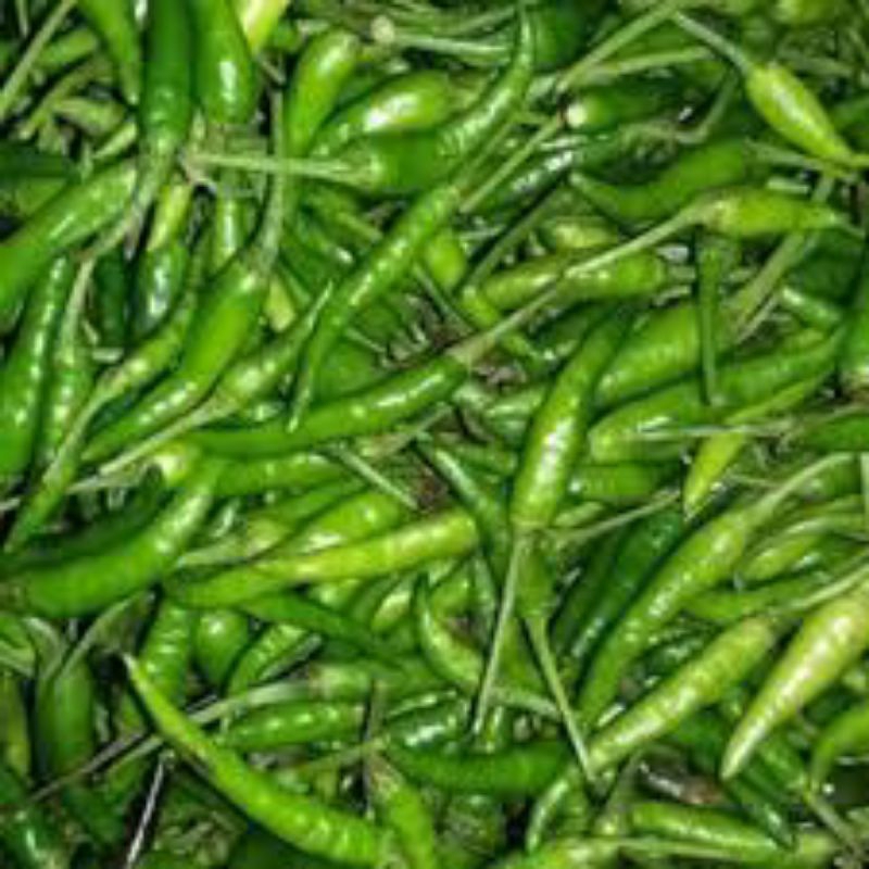 

Cabai rawit hijau lalap - SAYURAN GUNUNG