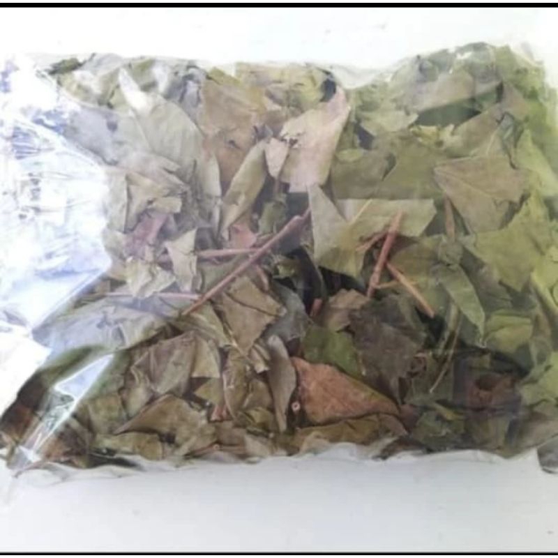 

Daun Salam Kering