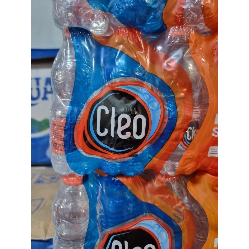 

cleo mini 220ml x 24