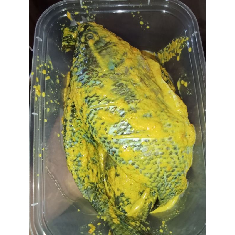 

Nila Bumbu Bakar frozen food |homemade|