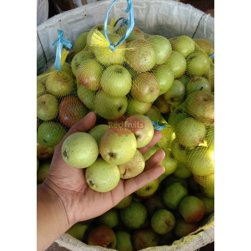 

APEL MALANG mini cocok untuk jus dan olahan lainnya (1KG)