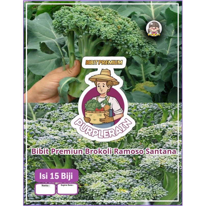 Bibit Premium Brokoli Ramoso Santana | Biji Bibit Brokoli Ramoso