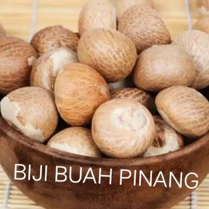 

biji buah pinang yang kering 1 kg