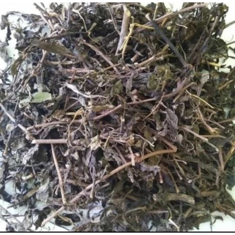 

Daun Kumis Kucing Kering 500 gr Asli