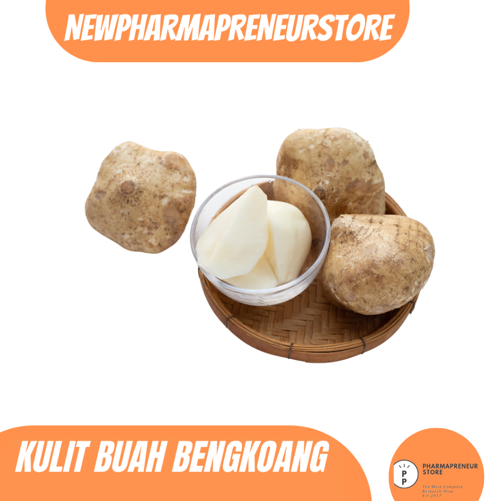 

EKSTRAK KULIT BENGKOANG BEST QUALITY