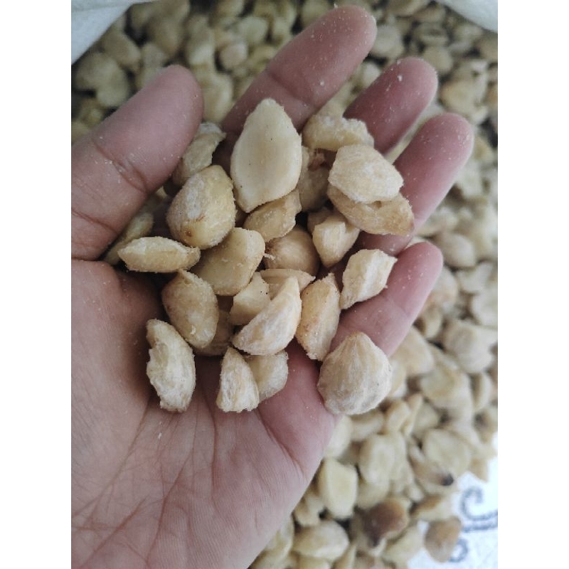 

kemiri pecah 250gr atau ¼kg