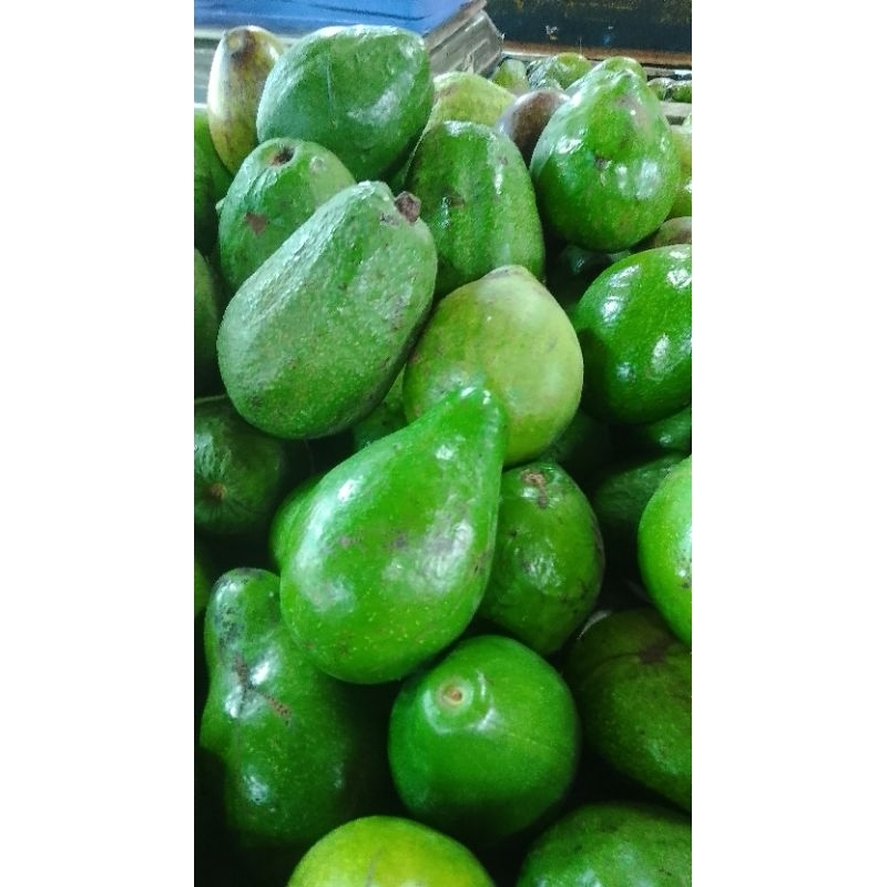 

Alpukat mentega 500g