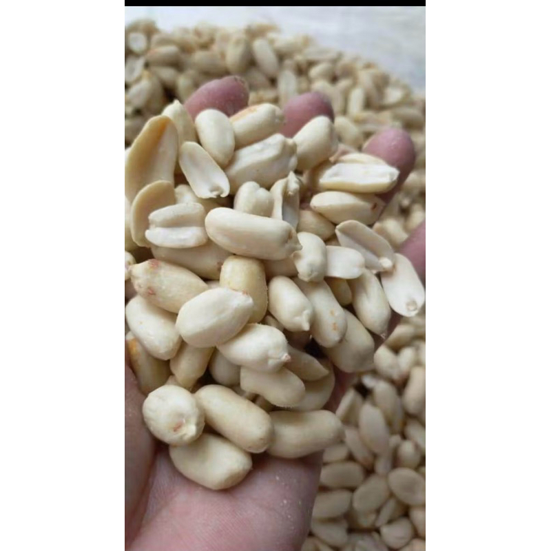 

Kacang tanah kupas ukuran Jumbo (25/29) berat :25 kg