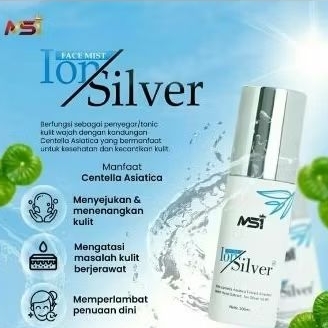 ion silver msi