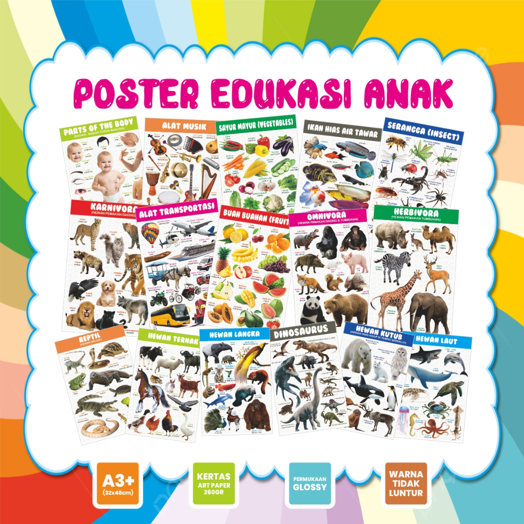 

POSTER EDUKASI ANAK BELAJAR MENGENAL HEWAN, SAYUR, BUAH, ALAT MUSIK, ALAT TRANSPORTASI, DLL.