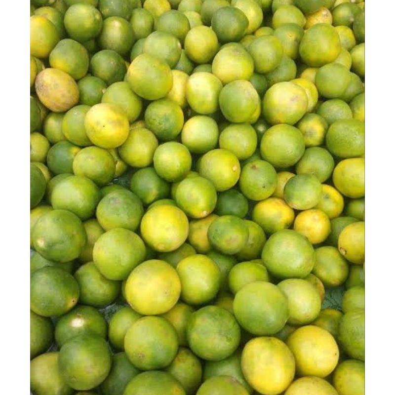 

Jeruk Nipis / Jeruk Pecel 1 pack KIRIM INSTAN