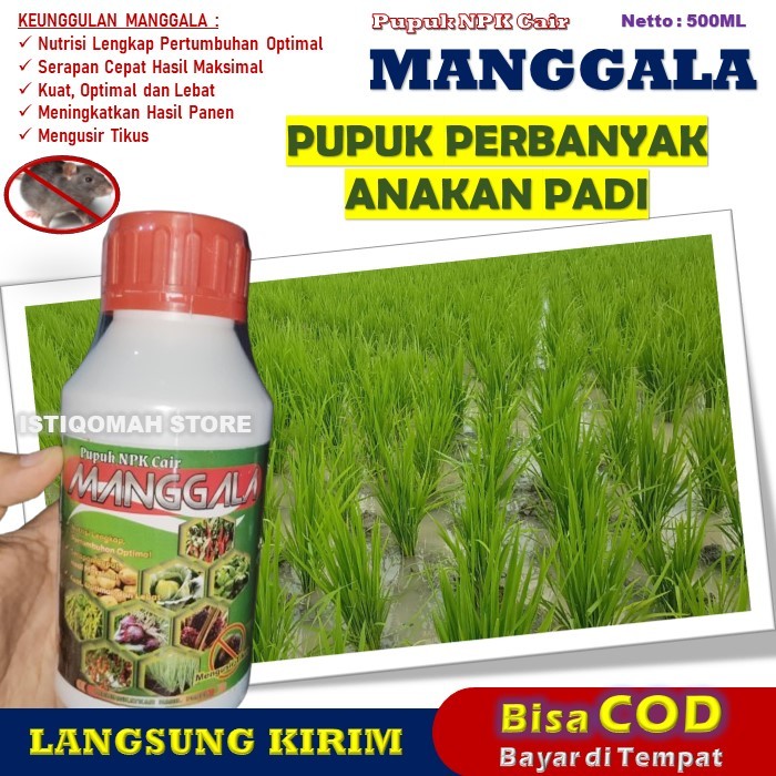 Pupuk Anakan Padi Ampuh MANGGALA 500ML Pupuk Cair Untuk Memperbanyak Anakan Padi, Pupuk Meningkatkan