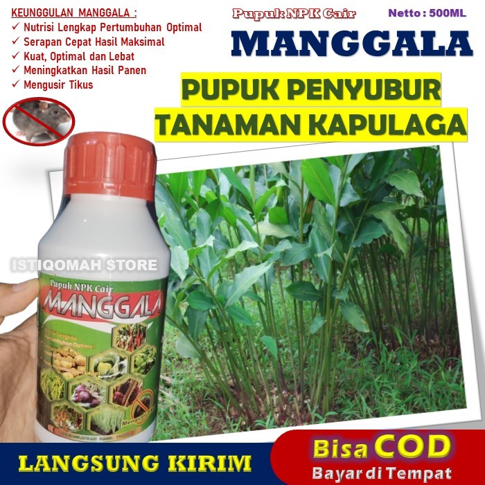 Pupuk Penyubur Kapulaga MANGGALA NPK Cair 500ML - Pupuk Tanaman Kapulaga Terbaik, Murah, dan Bagus u
