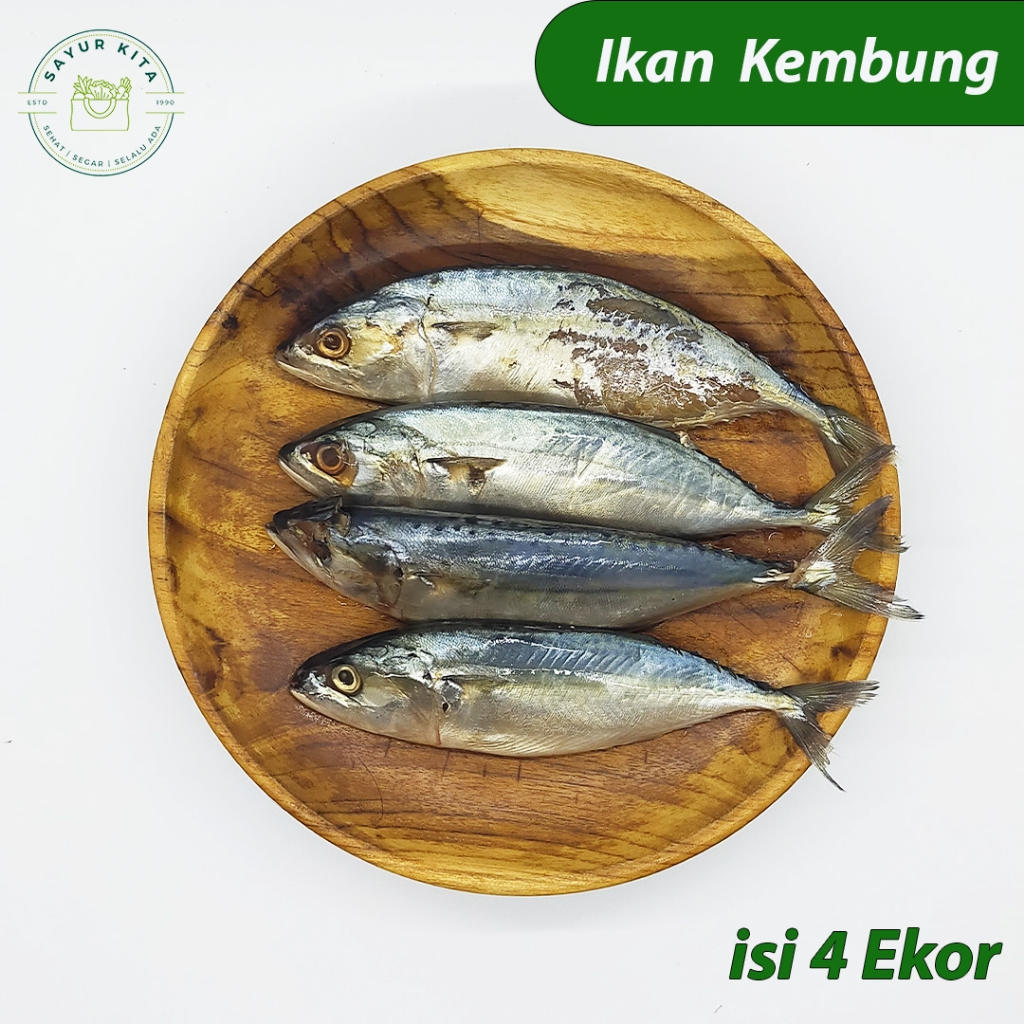 

Ikan Kembung Basah Segar Siap di Masak