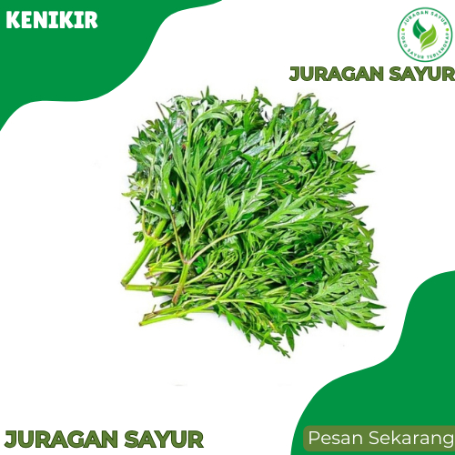 

Juragan Sayur - Kenikir 100gr