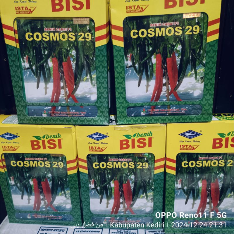 (1pack)Benih Cabai Besar HIBRIDA F1 COSMOS 29 isi lebih bnyak -+2250 biji exp bulan 2-2027