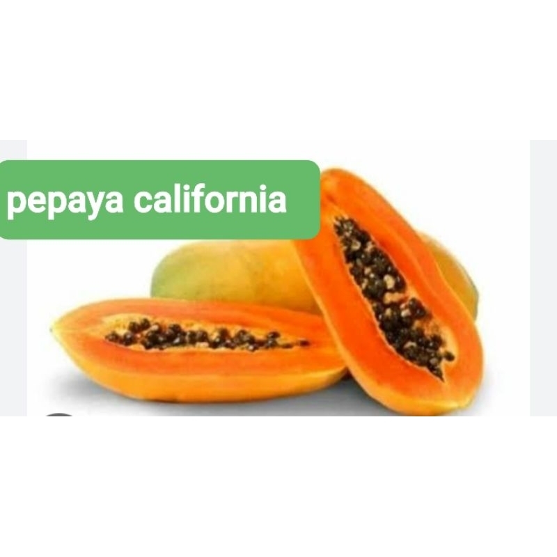 

pepaya california matang
