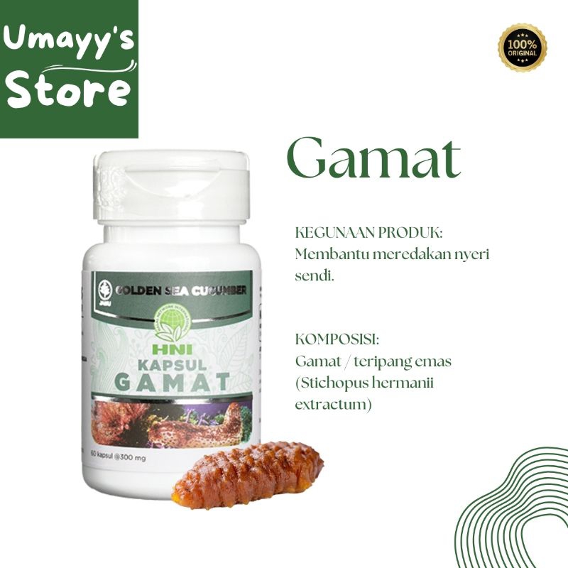 Gamat Bubuk Kapsul Teripang Timun Laut HNI