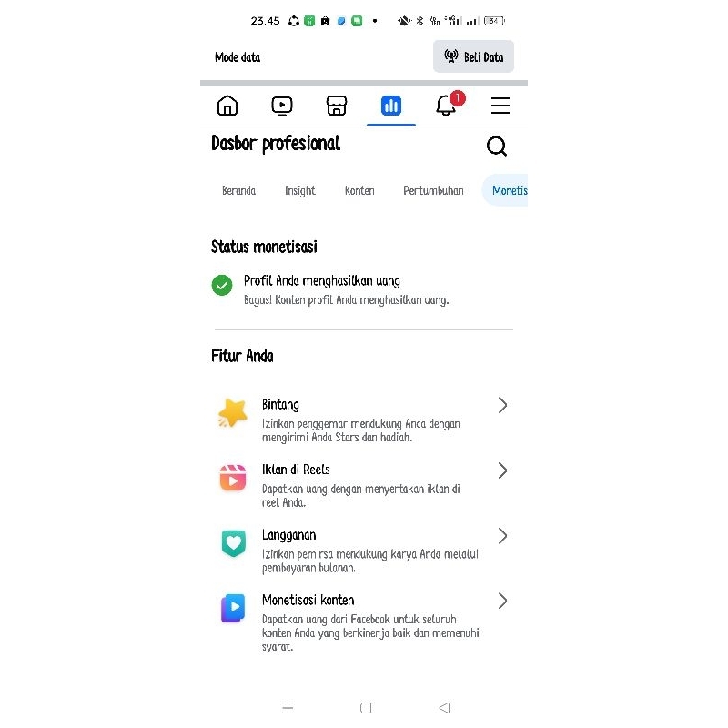 Facebook Profesional/ FB Pro Full Monetisasi Siap pakai