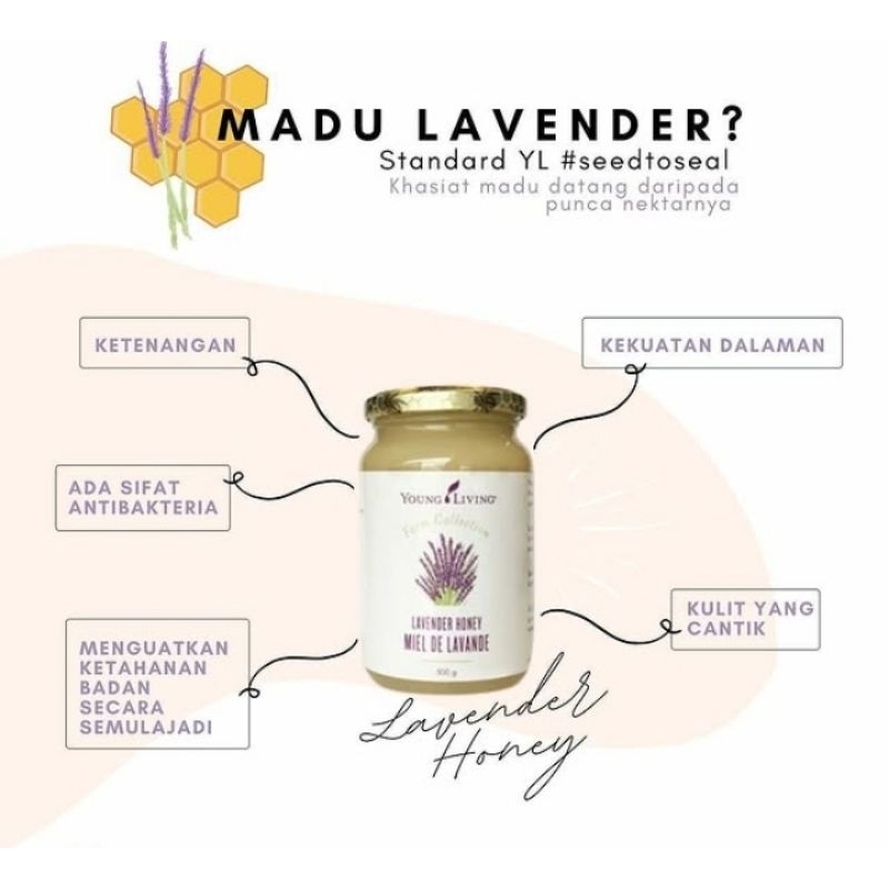 

⭐ Young Living Honey Lavender lebih bagus dari madu hdi